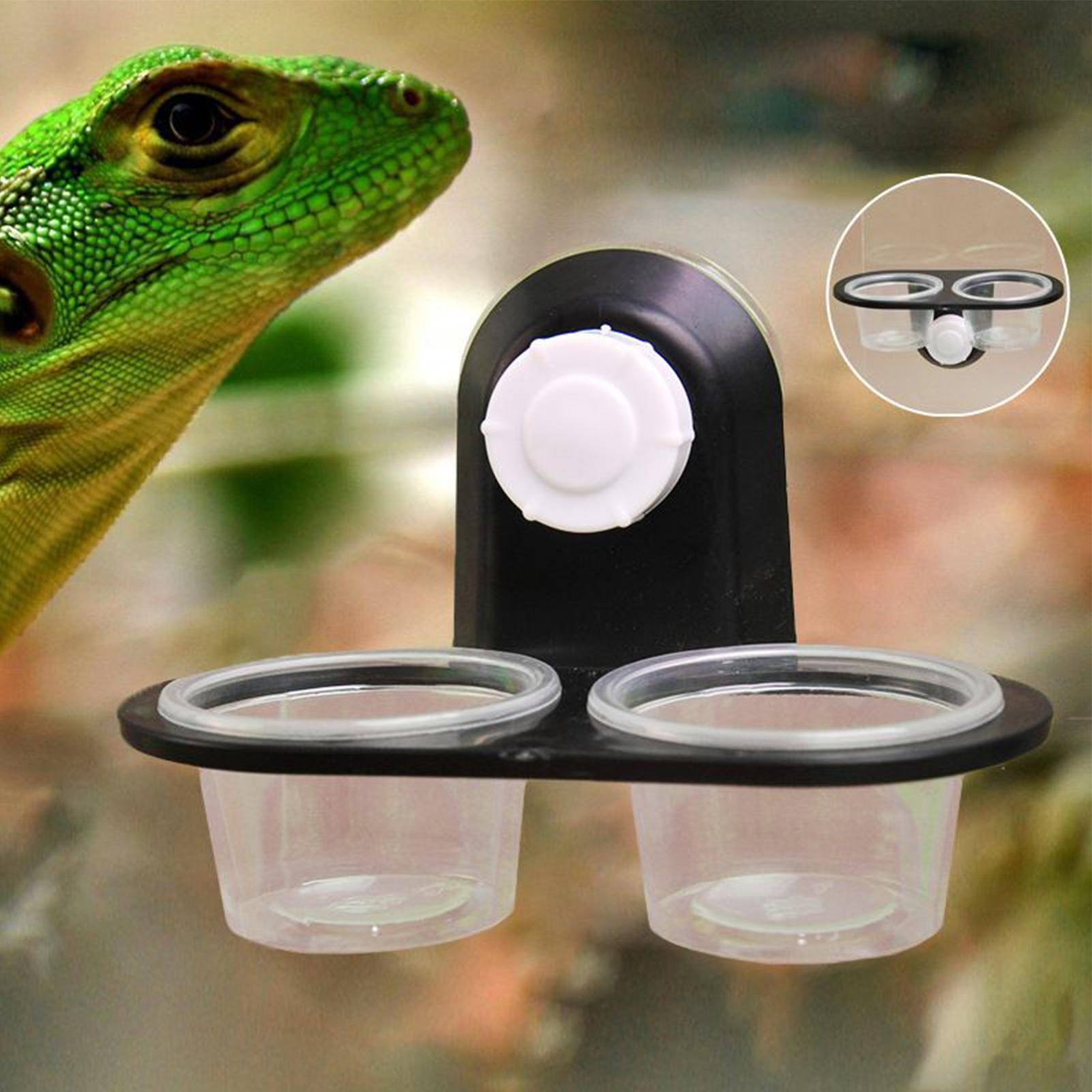 Water Dish Reptile - Distributeur de nourriture pour gecko, coupelles