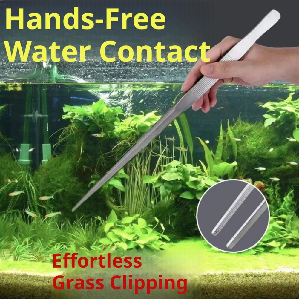 Feeding Tong Stainless - Pince d'aquarium en acier inoxydable, outils