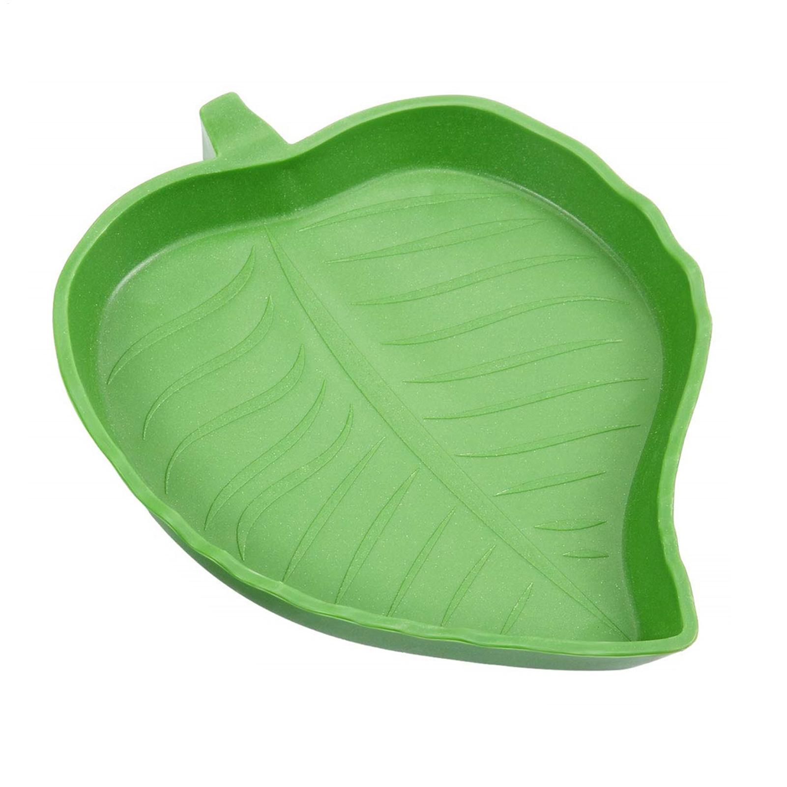 Water Dish Reptile - Bol à eau et à nourriture