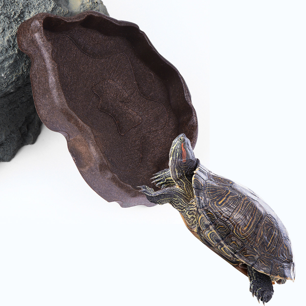 Bol d'alimentation en résine p - Water Dish Reptile avis et prix