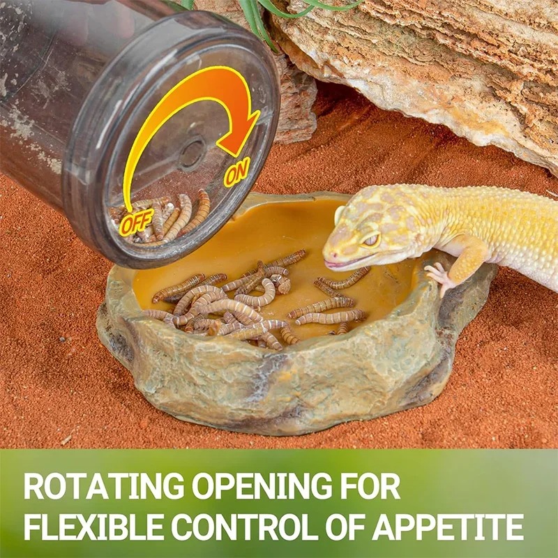 Kit de boîte de distribution d - Calcium Powder Reptile avis et prix