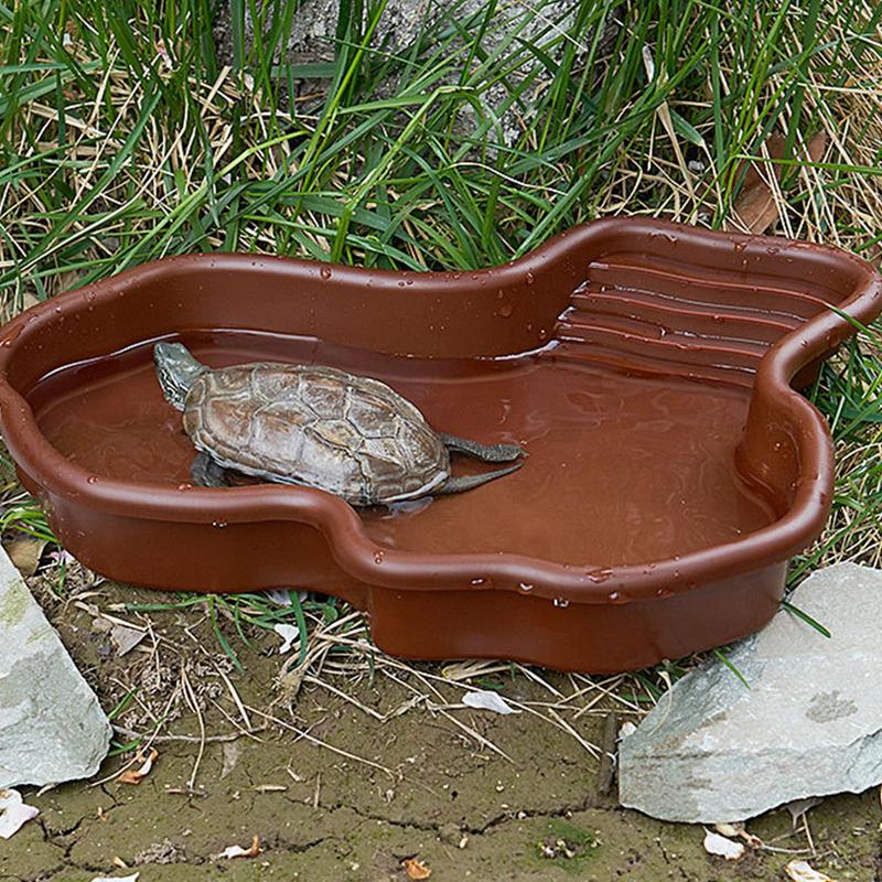 Plat d'alimentation pour tortu - Water Dish Reptile avis et prix