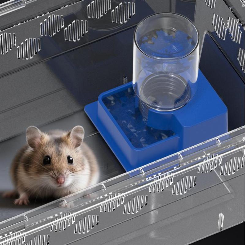 (BF06) Distributeur d'eau auto - Water Dish Reptile avis et prix