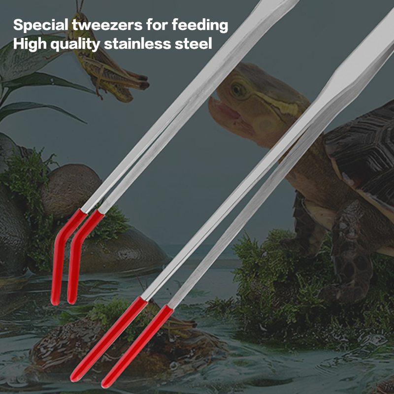 Outils d'entretien pour aquari - Feeding Tong Stainless avis et prix