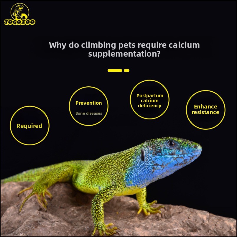 TOGOZOO WILDCAL Poudre de calc - Calcium Powder Reptile avis et prix