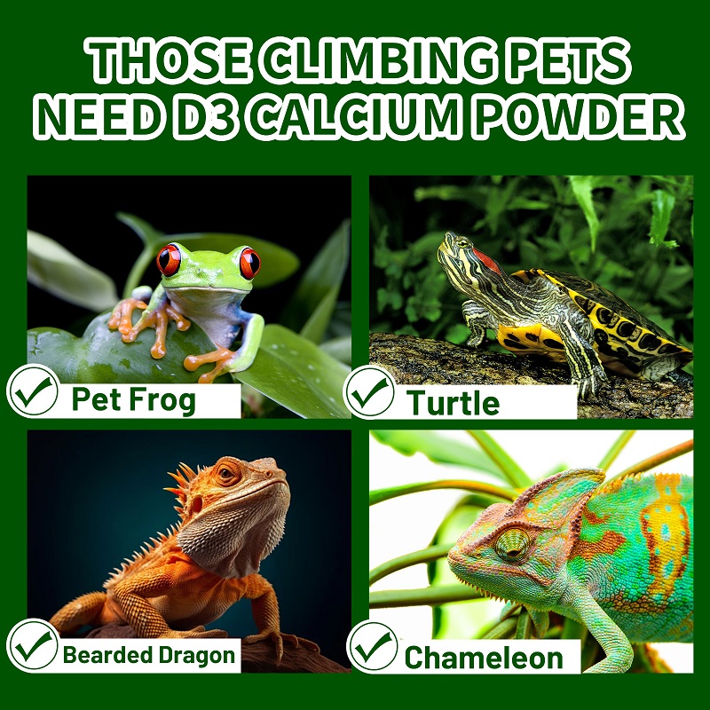Poudre de Calcium à la vitamin - Calcium Powder Reptile avis et prix