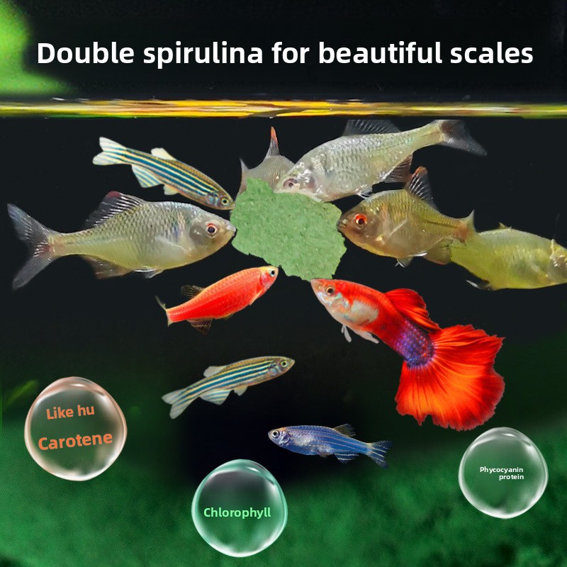 DEERA Flocons de poissons trop - Tetra Food Tropical Flakes avis et prix