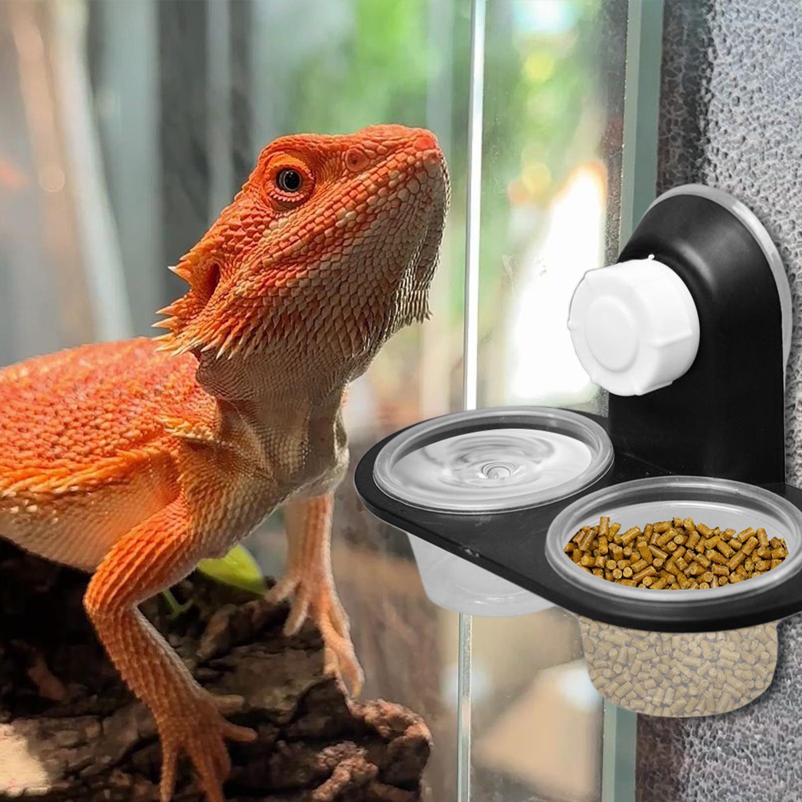 Distributeur d'eau et de nourr - Water Dish Reptile avis et prix