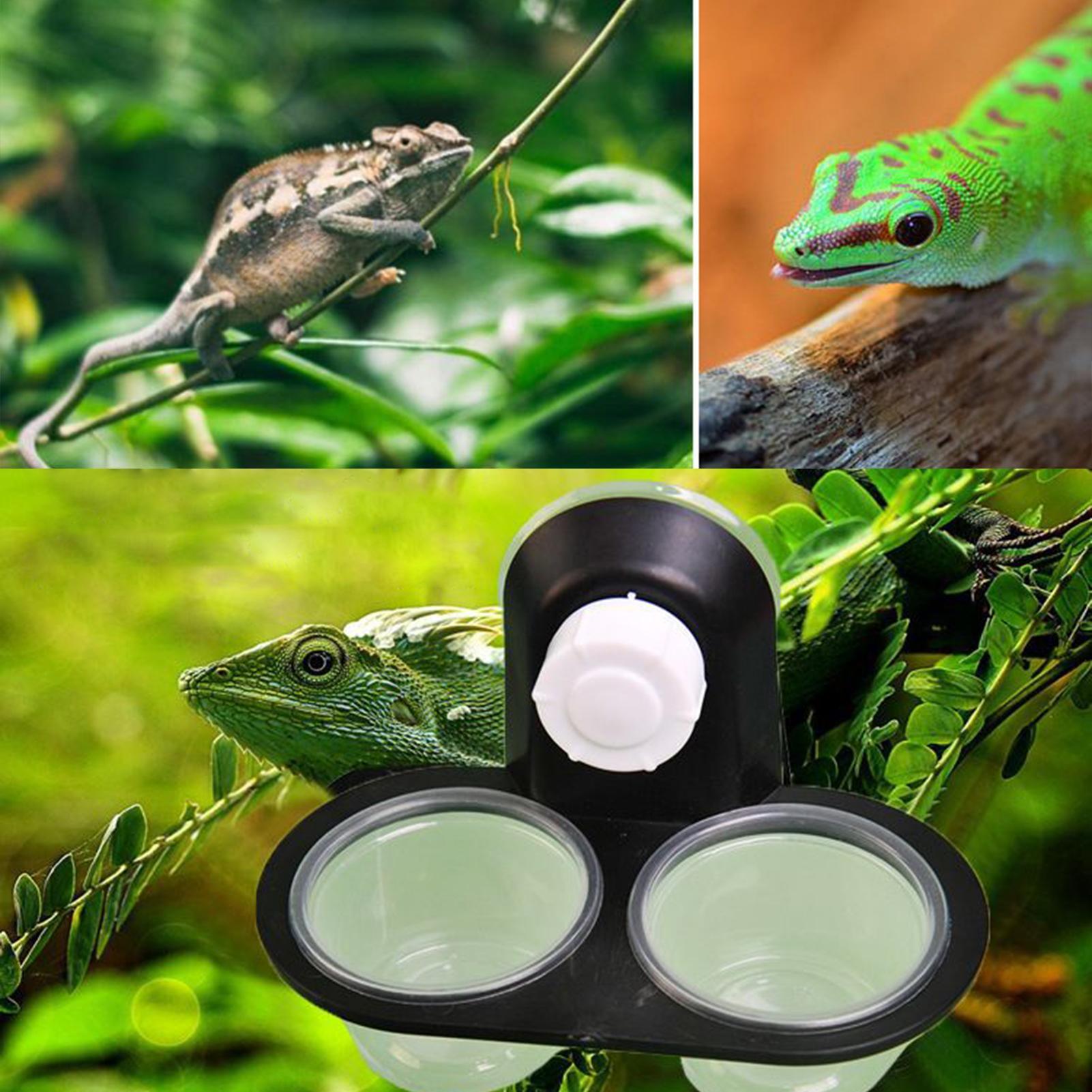 Distributeur d'eau et de nourr - Water Dish Reptile avis et prix