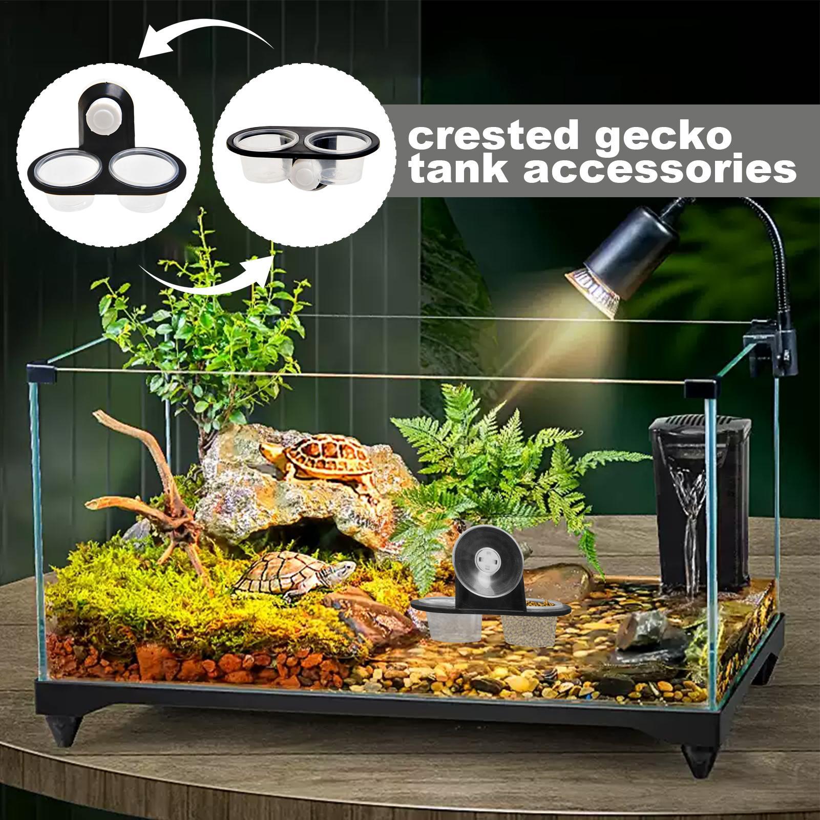 Distributeur d'eau et de nourr - Water Dish Reptile avis et prix