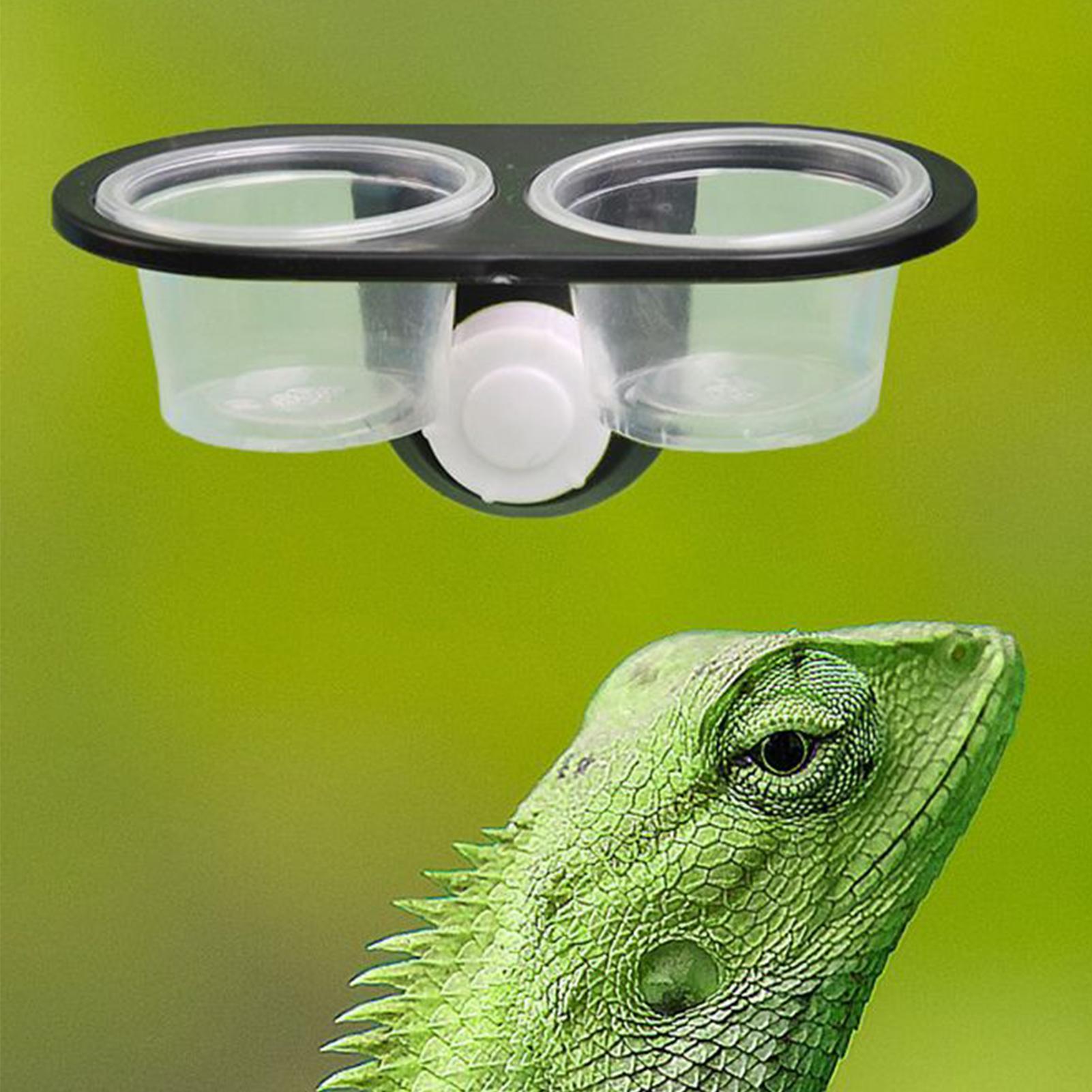 Distributeur de nourriture pou - Water Dish Reptile avis et prix
