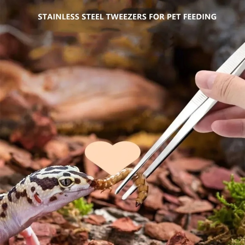 Pince à épiler multifonctionne - Feeding Tong Stainless avis et prix