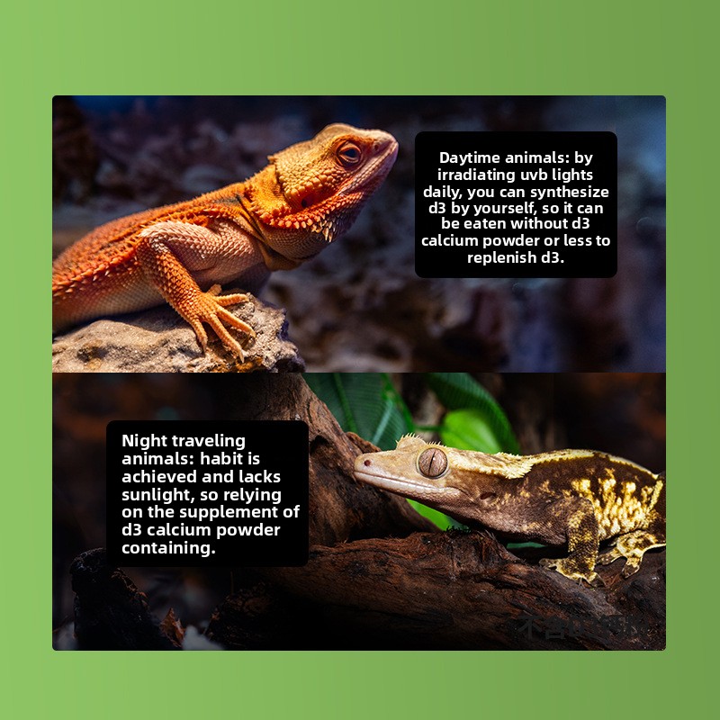 Poudre de calcium pour reptile - Calcium Powder Reptile avis et prix