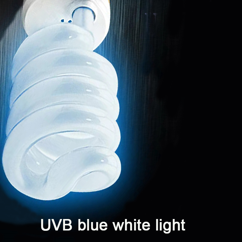 E27 13 W/26 W Reptile Uvb lamp - Calcium Powder Reptile avis et prix