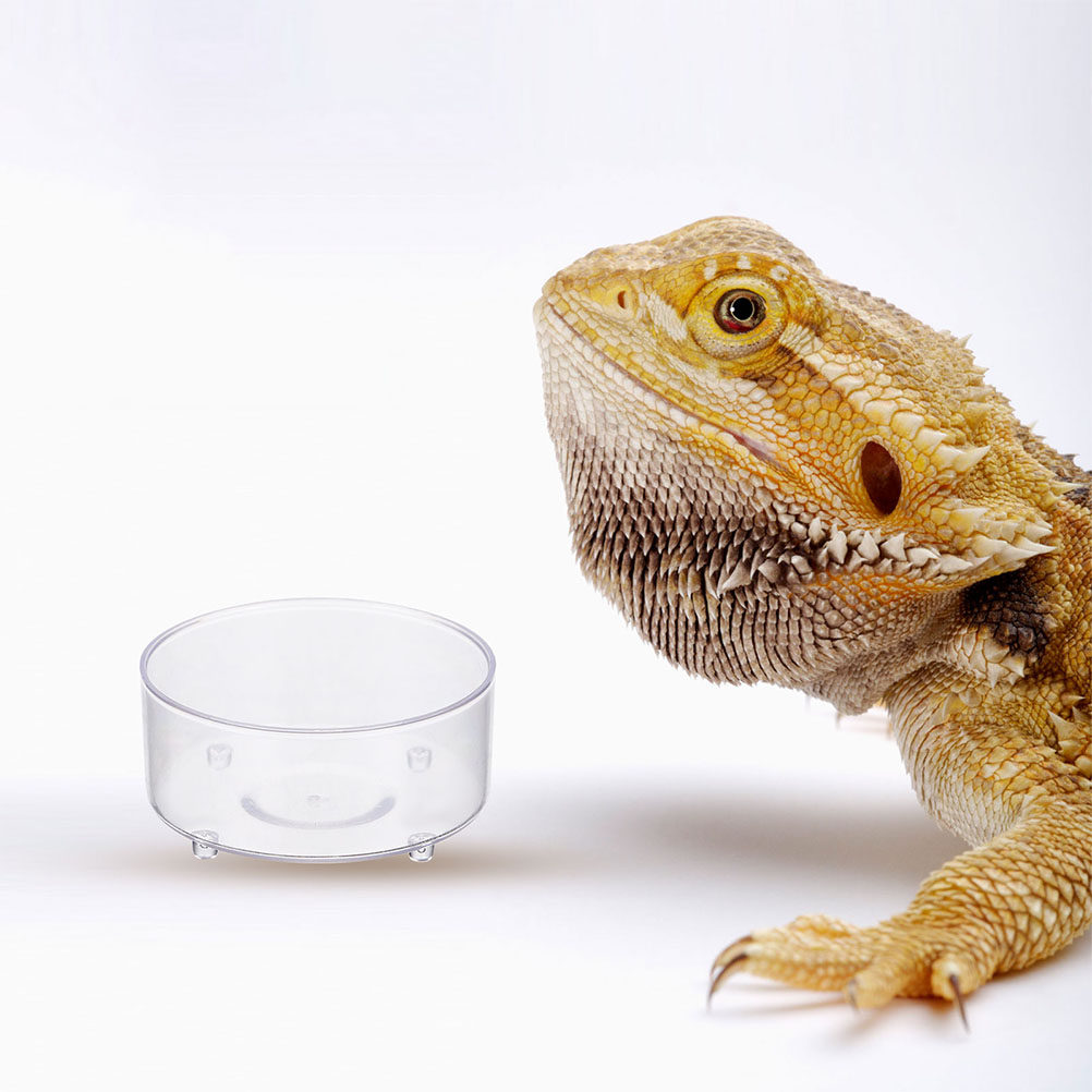 Lot de 10 bols réutilisables e - Water Dish Reptile avis et prix