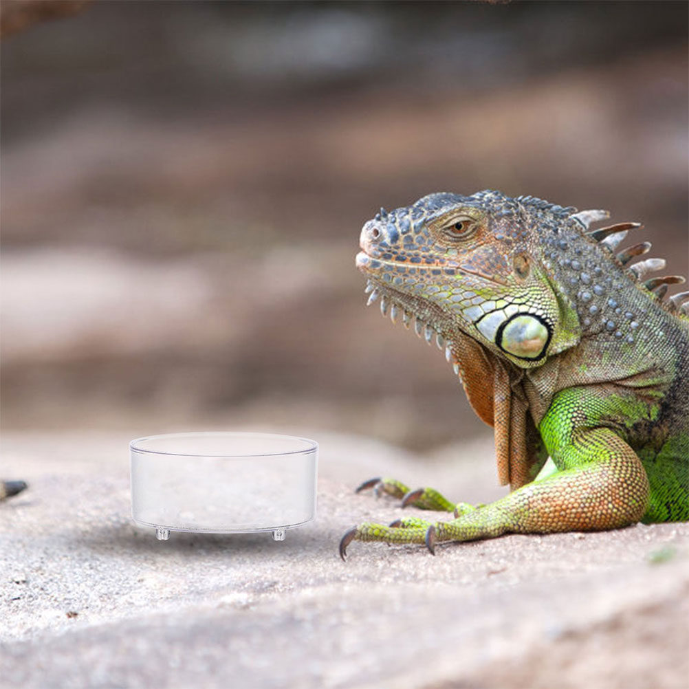 Lot de 10 bols réutilisables e - Water Dish Reptile avis et prix