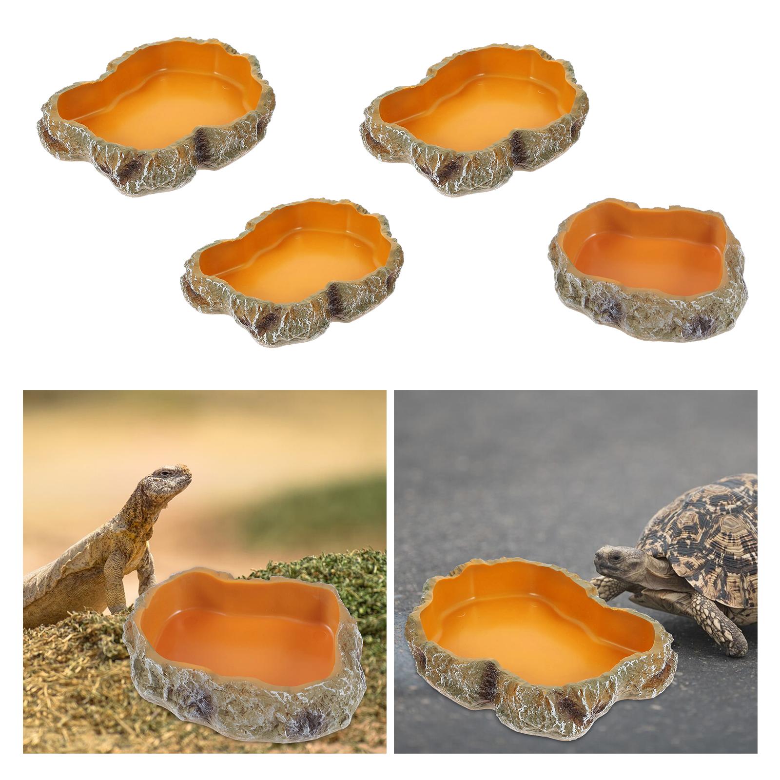 Bols d'eau pour Reptile, Terra - Water Dish Reptile avis et prix
