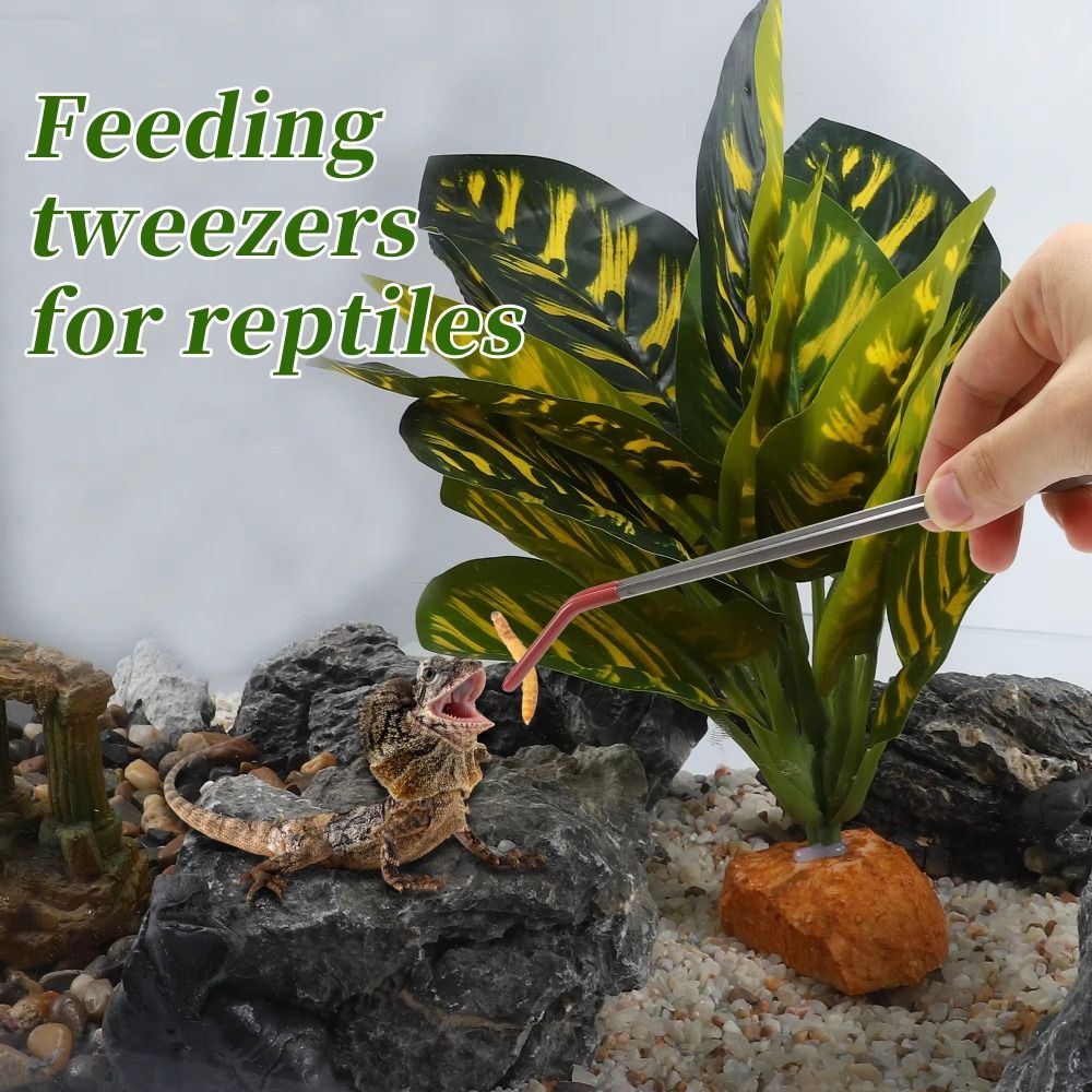 Pincettes d'alimentation pour  - Feeding Tong Stainless avis et prix