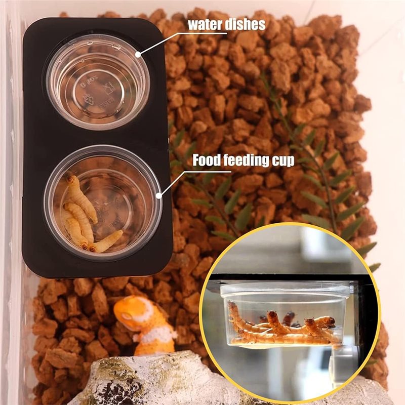 Gobelets d'alimentation et d'e - Water Dish Reptile avis et prix