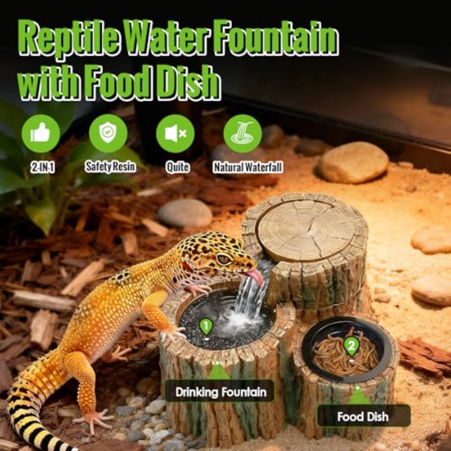 Fontaine à eau pour reptiles 2 - Water Dish Reptile avis et prix