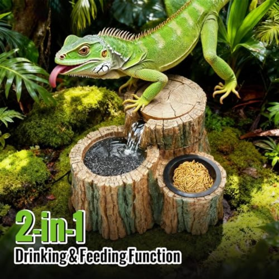 Fontaine à eau pour reptiles 2 - Water Dish Reptile avis et prix