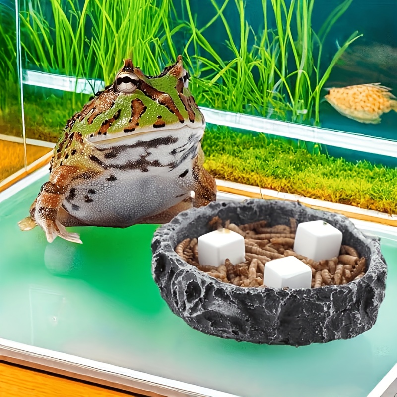 Bloc de Calcium pour Aquarium, - Calcium Powder Reptile avis et prix